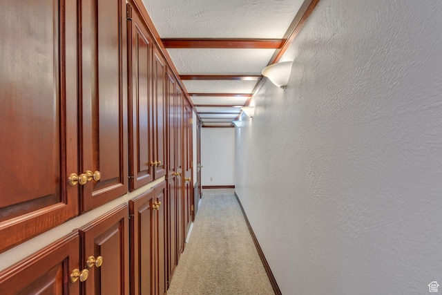 3223 Apache Ln, Provo, UT 84604 - hallway with light carpet and baseboards