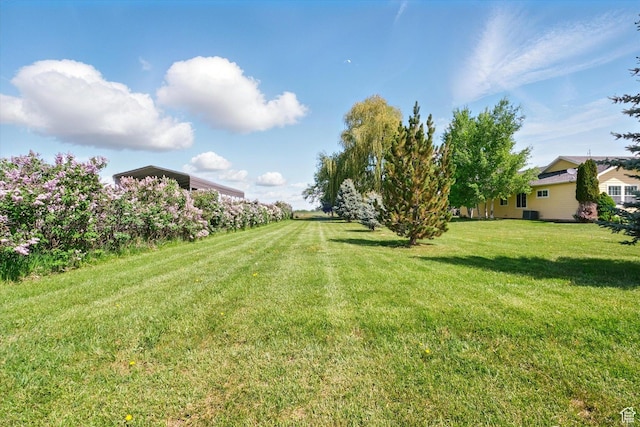 2897 W 3400 N, Benson, UT 84335 - view of green lawn