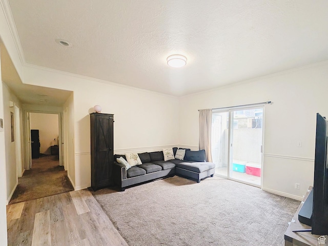 1456 S 430 W, Orem, UT 84058 - living room with light wood finished floors and crown molding
