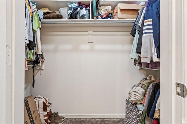 1456 S 430 W, Orem, UT 84058 - walk in closet with carpet flooring