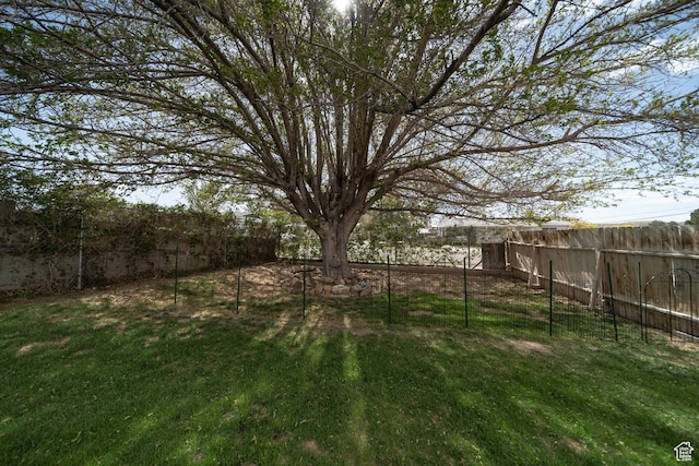 view of yard