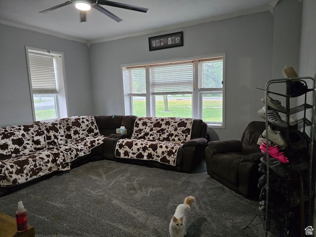 living room with crown molding, carpet flooring, a ceiling fan, and healthy amount of natural light