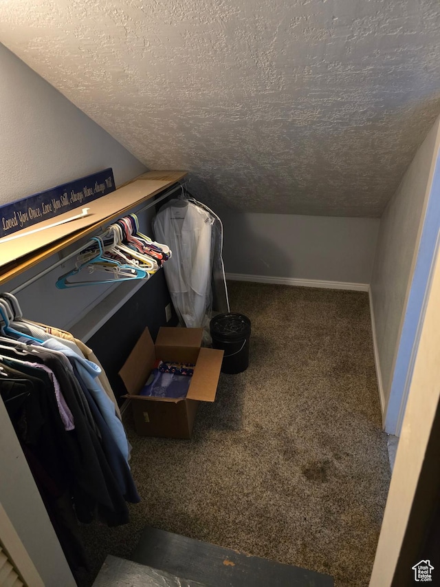 spacious closet featuring carpet floors and vaulted ceiling