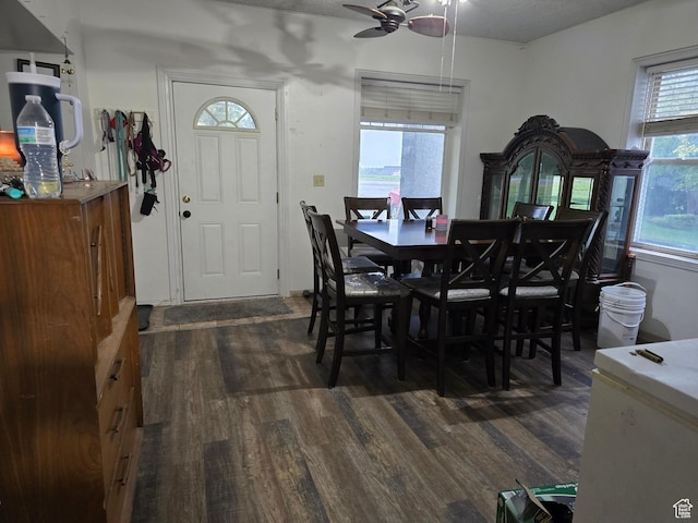 dining area featuring dark wood finished floors and a ceiling fan