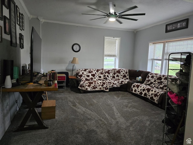 living room with ornamental molding, carpet flooring, healthy amount of natural light, and a ceiling fan