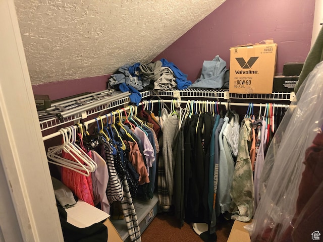spacious closet featuring lofted ceiling and carpet