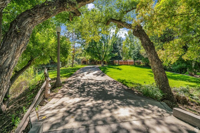 305 S Rachel Ln, New Harmony, UT 84757 - surrounding community featuring concrete driveway and view of scattered trees