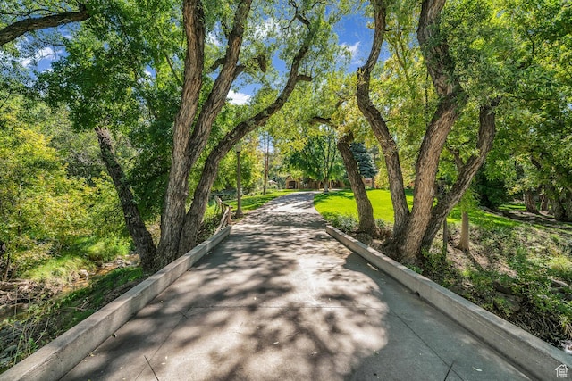 305 S Rachel Ln, New Harmony, UT 84757 - view of community with driveway