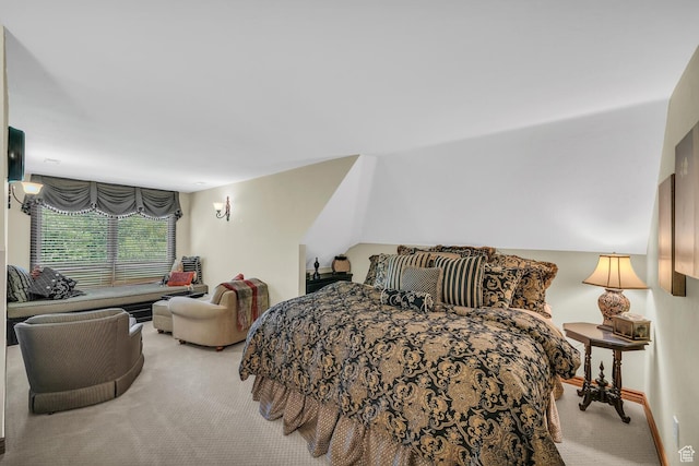 305 S Rachel Ln, New Harmony, UT 84757 - view of carpeted bedroom