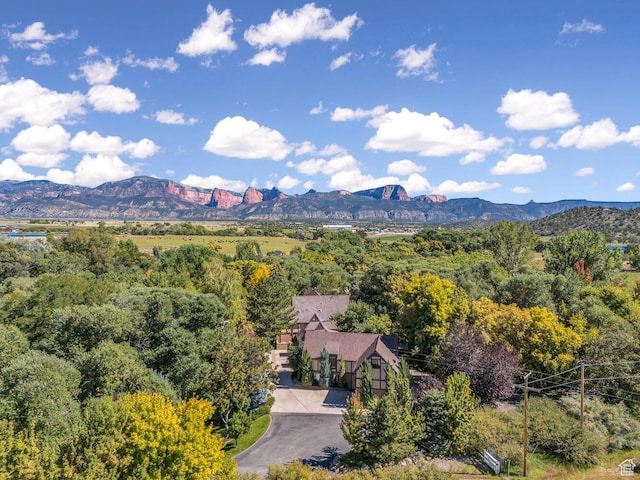 305 S Rachel Ln, New Harmony, UT 84757 - mountain view featuring a heavily wooded area
