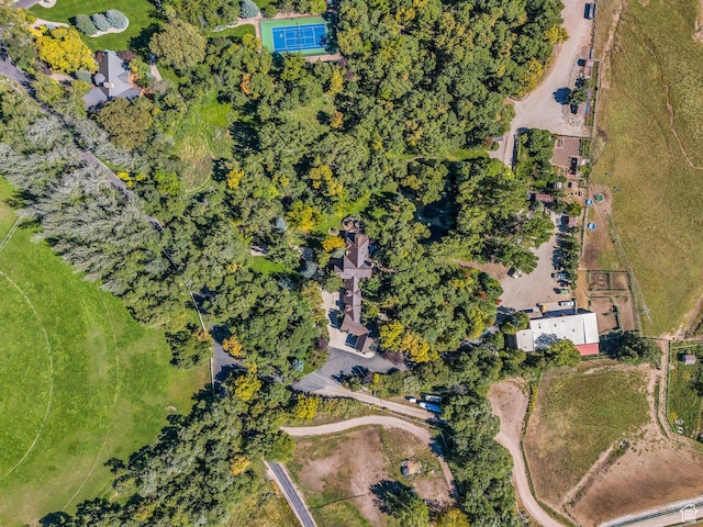 305 S Rachel Ln, New Harmony, UT 84757 - aerial view of property and surrounding area