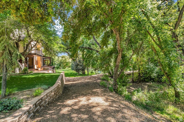 305 S Rachel Ln, New Harmony, UT 84757 - view of green lawn with a balcony