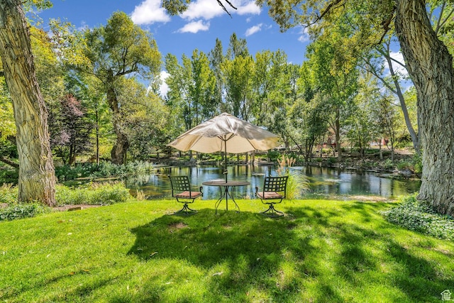 305 S Rachel Ln, New Harmony, UT 84757 - view of green lawn with a water view