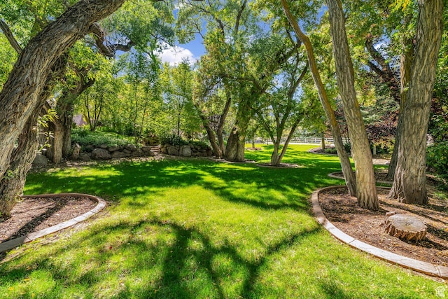 305 S Rachel Ln, New Harmony, UT 84757 - view of green lawn