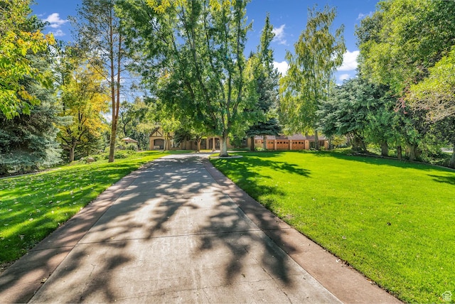 305 S Rachel Ln, New Harmony, UT 84757 - view of home's community featuring a yard