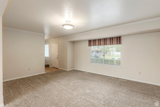 empty room with crown molding, carpet floors, baseboards, and a textured ceiling