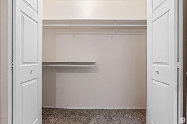 view of closet