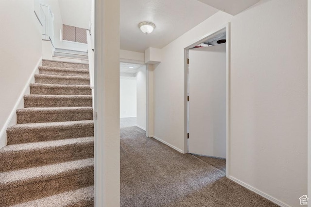 stairs featuring carpet floors and baseboards