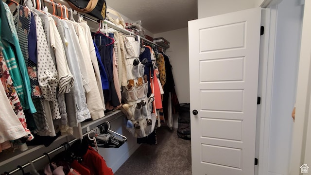 walk in closet featuring carpet