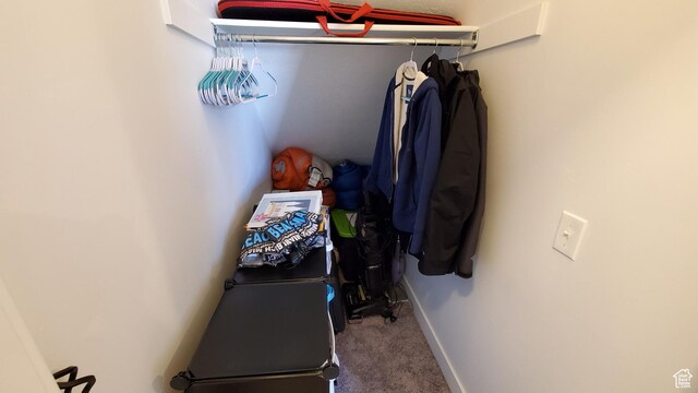 spacious closet featuring carpet flooring