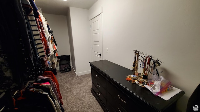 spacious closet with carpet