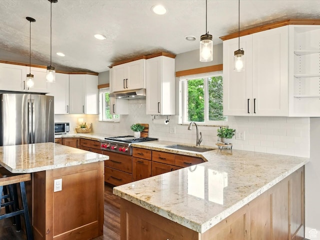kitchen with a sink, appliances with stainless steel finishes, under cabinet range hood, recessed lighting, and a kitchen bar