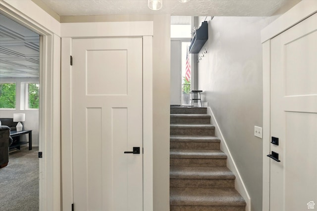 stairs featuring carpet and baseboards