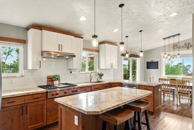 kitchen with a sink, a peninsula, under cabinet range hood, stainless steel appliances, and decorative backsplash