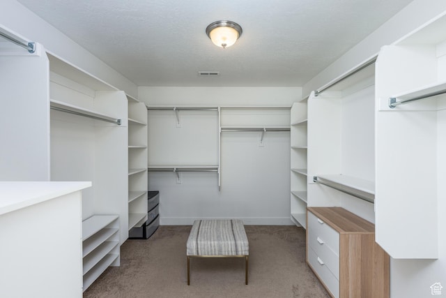 57 S Sterling Way, Vineyard, UT 84059 - walk in closet featuring light carpet