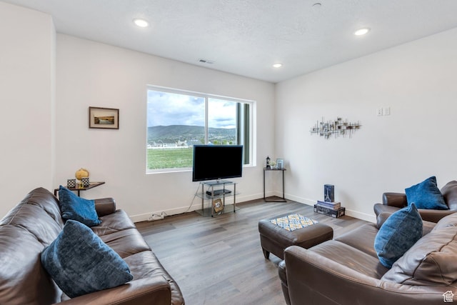 1218 S Sawmill Blvd Unit 1-106, Heber City, UT 84032 - living area with wood finished floors, recessed lighting, and baseboards