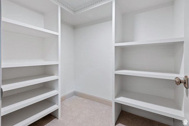 walk in closet with carpet