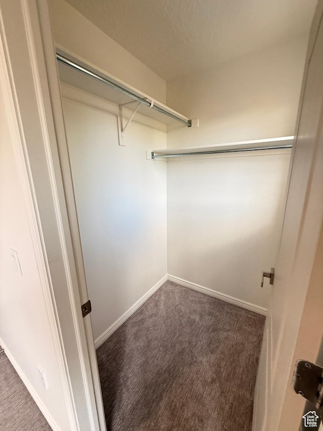 7038 W 8090 S, West Jordan, UT 84081 - walk in closet with carpet floors