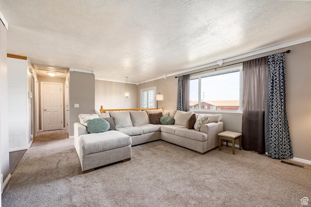 2135 W 4300 S, Roy, UT 84067 - carpeted living room featuring a textured ceiling, crown molding, and baseboards