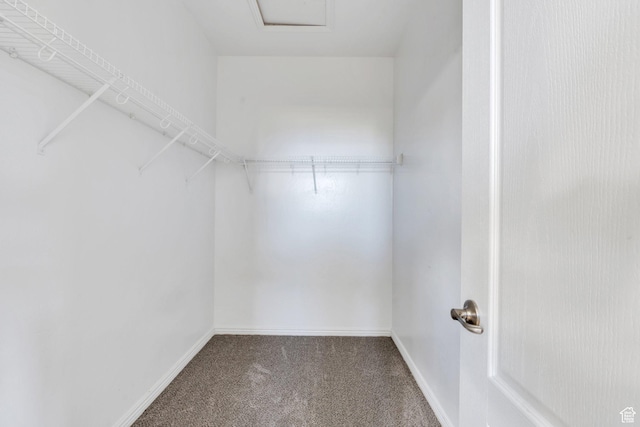 1485 W 80 S, Pleasant Grove, UT 84062 - spacious closet featuring carpet flooring