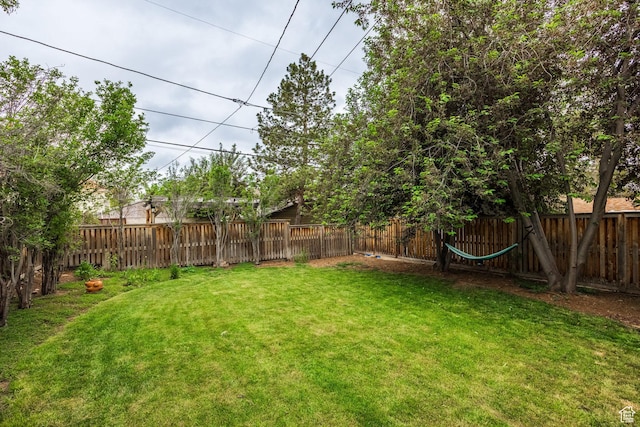 view of yard