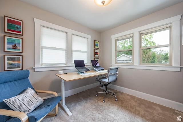 office area with baseboards and carpet floors