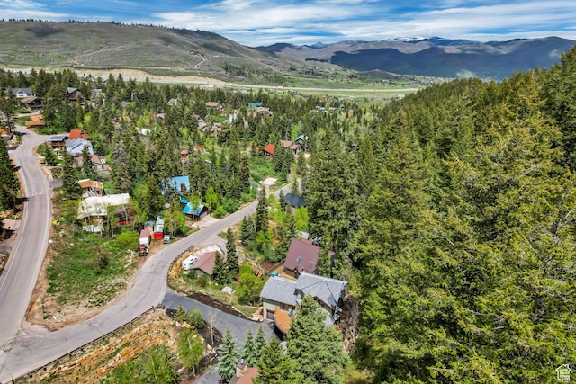 110 Saint Moritz Strasse, Park City, UT 84098 - photo 9