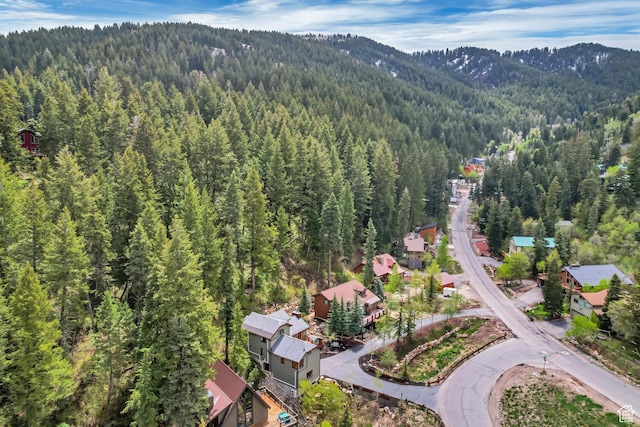 110 Saint Moritz Strasse, Park City, UT 84098 - photo 10