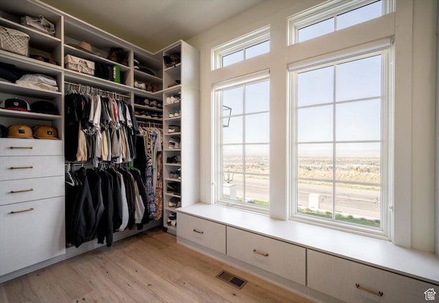 1565 N Overolook Ct, Farmington, UT 84025 - spacious closet with light wood-type flooring