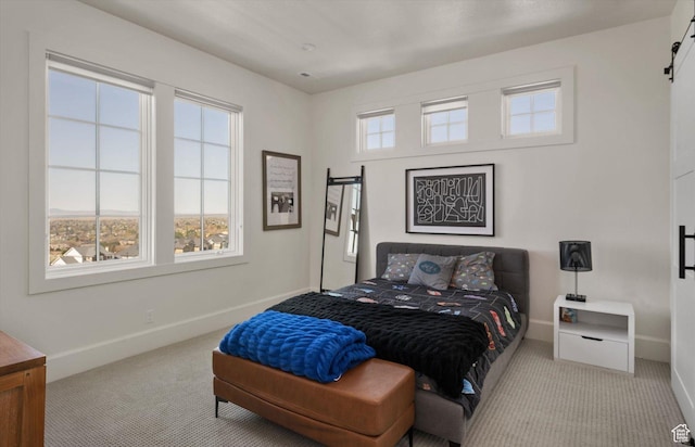 1565 N Overolook Ct, Farmington, UT 84025 - bedroom featuring carpet floors, baseboards, and a barn door