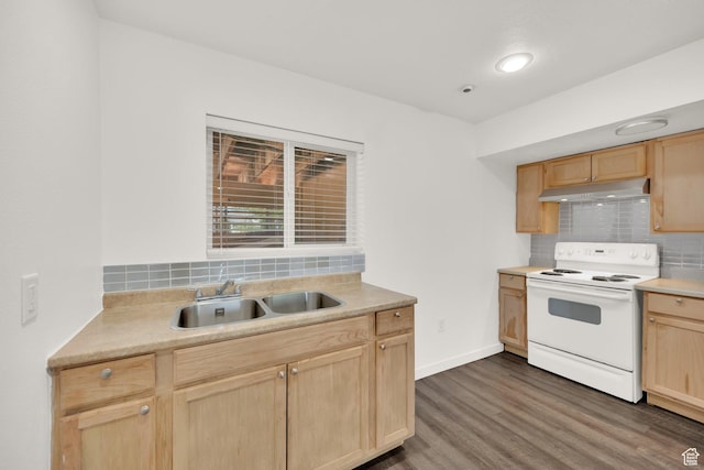4242 S 6530 W, West Valley City, UT 84128 - kitchen with white electric stove, light brown cabinetry, a sink, under cabinet range hood, and dark wood-style floors