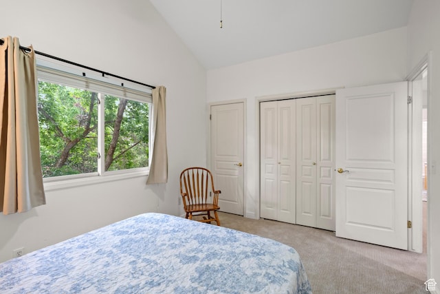 bedroom with carpet, high vaulted ceiling, and a closet