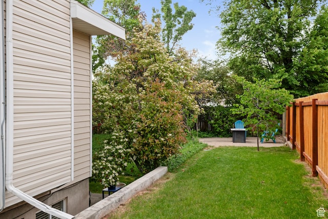 view of yard featuring a patio area