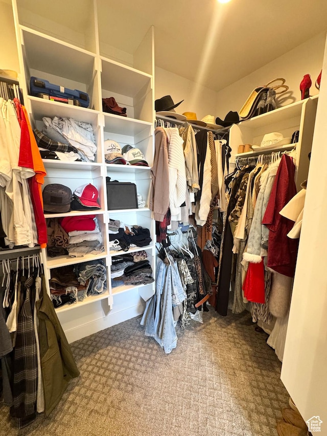 9351 E Acorn Cir Unit 921, Heber City, UT 84032 - walk in closet with carpet flooring