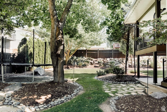view of yard featuring a patio