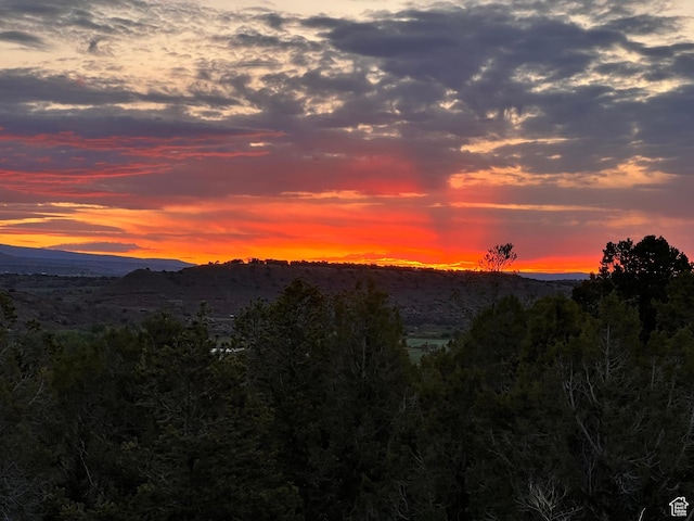 Unit 2, Fruitland, UT 84027 - photo 1