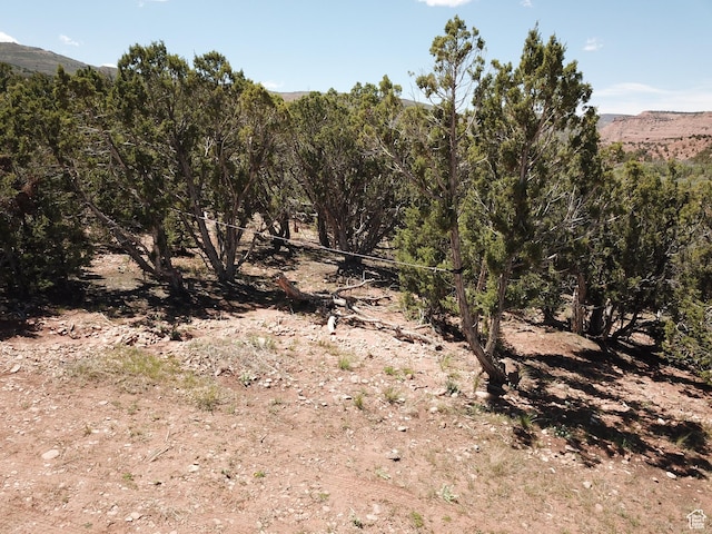 Unit 2, Fruitland, UT 84027 - photo 23