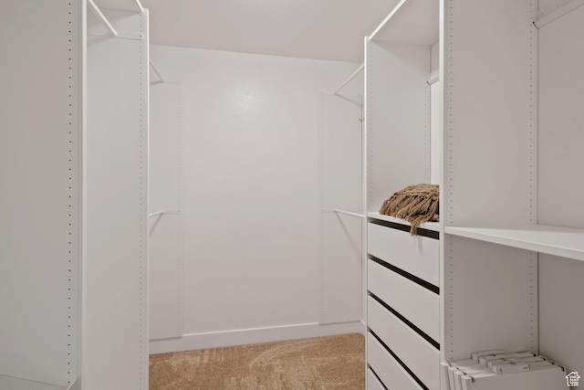 walk in closet featuring light carpet