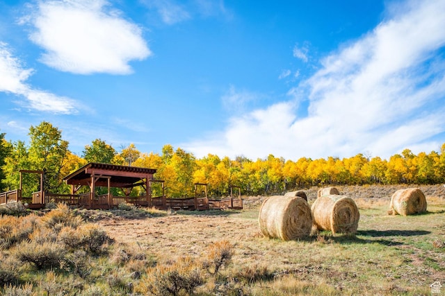 view of yard with a rural view