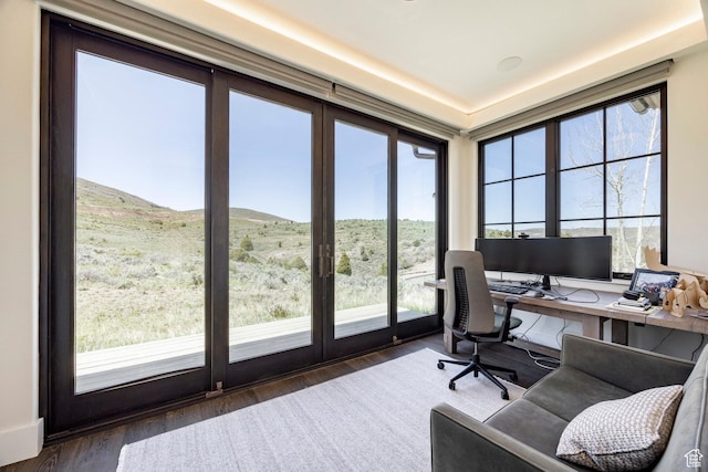 office space with wood finished floors and healthy amount of natural light